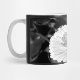 White blossoming chrysanth, black and white flower photography Mug